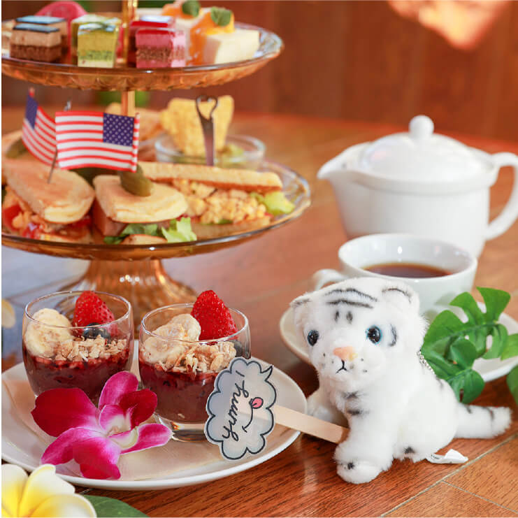 ���ե��̡��󥹥����